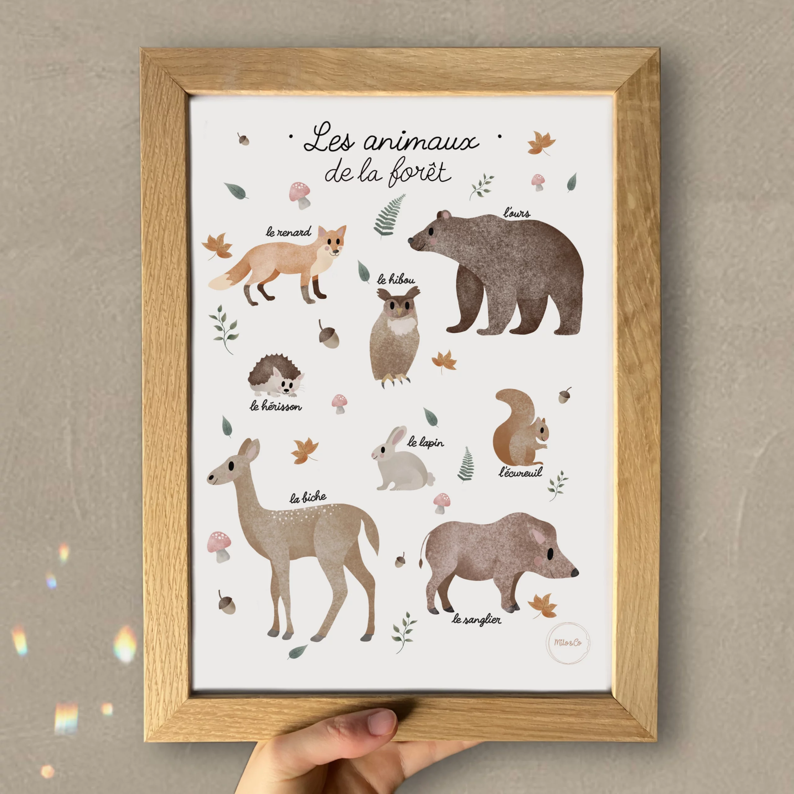 Affiches Animaux 